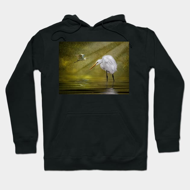 Everglades Evening Hoodie by Tarrby